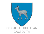 Logo Consiliul Județean Dâmbovița