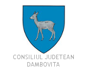 Logo - Consiliul Județean Dâmbovița