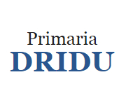 Logo Primăria Dridu