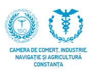 Logo - CCINA