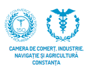 Logo - CCINA